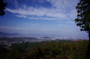 写真/図表