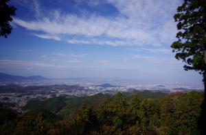 写真/図表