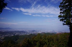 写真/図表