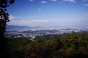 写真/図表