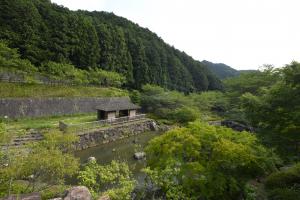 写真/図表