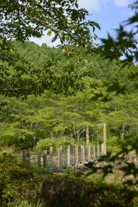 写真/図表