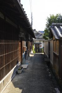 写真/図表