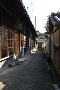 写真/図表