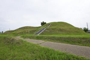 写真/図表