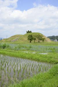 写真/図表