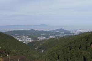 写真/図表