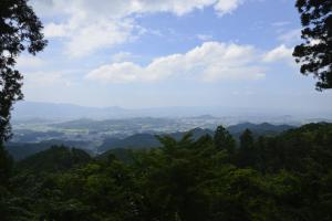写真/図表