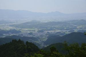 写真/図表