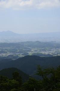 写真/図表