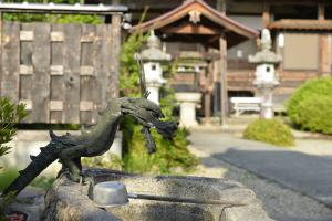 写真/図表