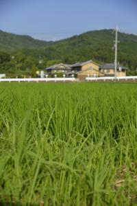 写真/図表