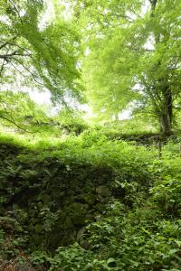 写真/図表