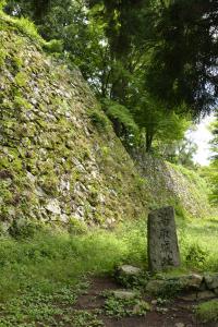 写真/図表