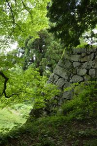 写真/図表